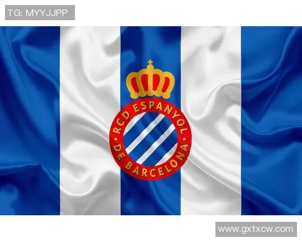 西班牙人俱乐部中资背景的影响与发展探讨